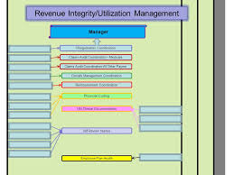 Chief Financial Officer Director Revenue Cycle Ppt Video