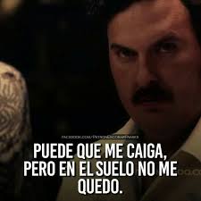 Pin De Anny Felix En Frases Frases De Narcos