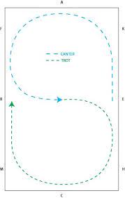 Figures For Improving Balance Figure 8 Horse Exercises Horse Training Exercises Horse Jumping Exercises