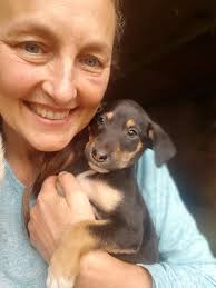 These 4 gorgeous healthy pups were left at the very busy bus stop at La  Croisette