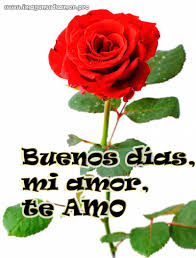 Rosa Rose Jpg 800 1052 Buenos Dias Amor Imagenes Buenos Dias Amor Mensajes De Amor