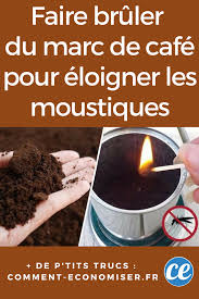 Debarrassez Vous Des Moustiques En Brulant Du Marc De Cafe Voici Comment En 2020 Moustique Marc De Cafe Trucs Et Astuces Maison