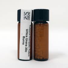 Image result for Urtica urens