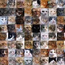 hologan a new generative model learns 3d representation from natural images generative image representation