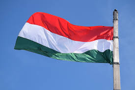 Άλλη σημαία είναι επίσης τρίχρωμη με ένα μπλε έμβλημα και η τρίτη αποτελείται από δύο λευκά και δύο ερυθρά τετράγωνα, με έναν γαλάζιο σταυρό στη μέση. Shmaia Hungarian Oyggaria Dwrean Fwtografia Sto Pixabay