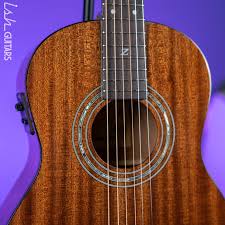 Zager Easy Play Guitars: Legendary Quality, Effortless Performance |  Stupiddope