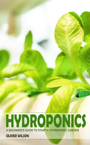 Plants grown hydroponically often yield more. Hydroponics A Beginner S Guide To Start A Hydroponic Garden Wilson Oliver 9781703306484 Amazon Com Books