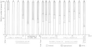 Image result for Rhamphicarpa brevipedicellata