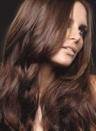 Chestnut Brown Hair Color Trend In 2019 Trendy Hairstyles And Colors 2019 Chestnut Brown Hair Haircolor Coffee Hair Color Coffee Hair Chestnut Hair Color