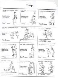 Tricep Exercises Health And Fitness Training