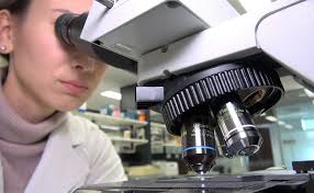 New ARC grants bolster diverse Flinders research