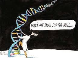 Summarize the experiments of hershey and chase that confirmed dna as the genetic material. Unit 8 Chapter 8 From Dna To