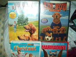 Please disable the ad blocker it to continue using our website. Free Lot Of 4 Child S Dvd Dog Movies Marmaduke Air Bud Where Red Fern Grows Chestnut All Like New Good Dvd Listia Com Auctions For Free Stuff
