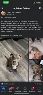 Lost & Found Pets in Apopka