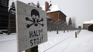 Image result for auschwitz