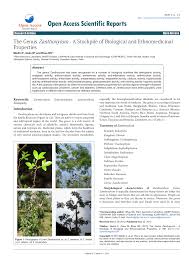Image result for Zanthoxylum usambarense