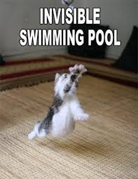 I hope you will love them. Wild Animal Quotes Funny Quotesgram