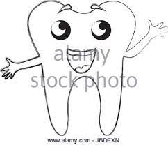 Bei der entfernung eines zahns (in der fachsprache zahnextraktion genannt) muss der zahnarzt. Skizze Zu Zeichnen Zahn Cartoon Stock Vektorgrafik Alamy