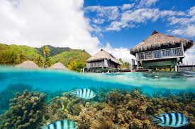 Gauguin voyage de tahiti 2017 bluray 1080p. Quel Temps De Vol Paris Tahiti French Bee