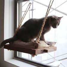 A diy cat window perch. Pin On Cat Furniture