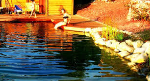 Les 15 Meilleurs Piscinistes Et Specialistes Spas Sur Vendargues Herault Houzz