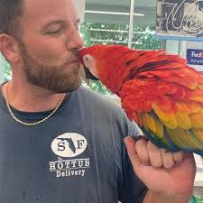 Ian Antonio Castro Obituary (1989