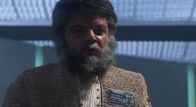 Sidelong Glances of a Pigeon Kicker: 2024