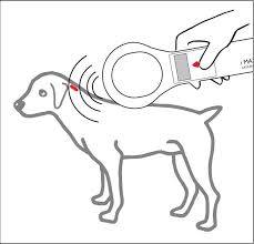 Maybe you would like to learn more about one of these? Pet Travel Pet Microchips And Scanners Pet Travel Blog Resource For Traveling Pets
