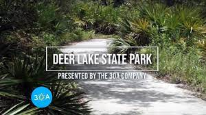 A boardwalk across the dunes offers easy access to the beach where visitors can picnic, swim, and fish. 30a Secrets Deer Lake State Park 30a