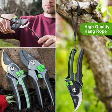 Best way to hang garden tools. Buy Garden Pruners Pruning Shears For Gardening Heavy Duty With Rust Proof Stainless Steel Blades Best Bypass Pruner Garden Shears Professional Gardening Tools Can Cut Small Pvc Pipes Silver Online In Indonesia B08btr67dw