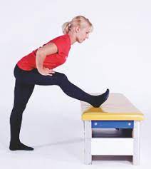 Lean to the right until you feel a slight burn in the back of your right thigh. Beweglichkeit Statische Formen Hamstrings Mobilesport Ch