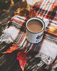 Pin By Anmar Thabet On A Autumn Cozy Autumn Inspiration Green Life