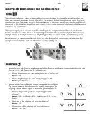 Punnett square incomplete dominance worksheet answer key : Incomplete Codominance Worksheet Name Date Incomplete Dominance And Codominance 11 3 When Mendel Studied Pea Plants He Happened To Select Traits That Course Hero