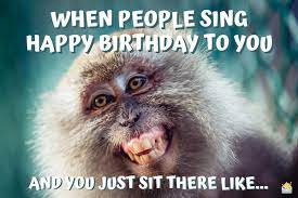 Share the best gifs now >>>. Funny Happy Birthday Images A Smile For Their Special Day