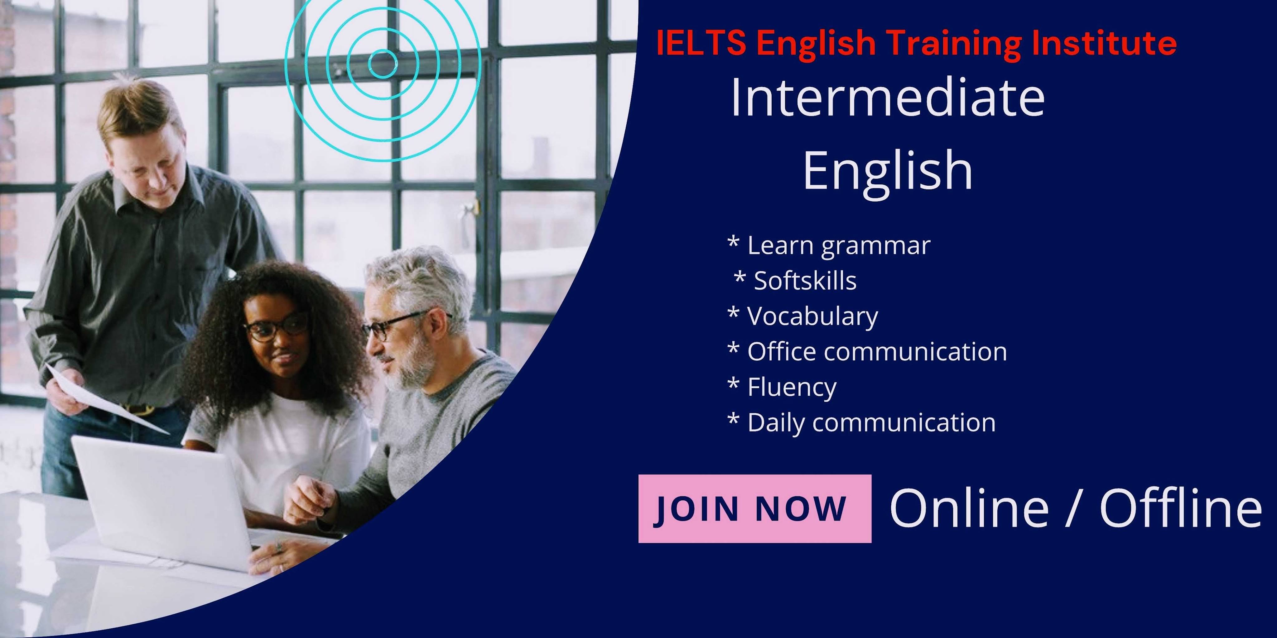 Intermediate English product image
