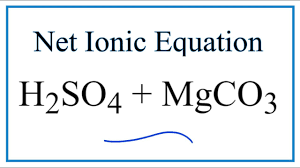 How To Write The Net Ionic Equation For H2so4 Mgco3 Mgso4 H2o Co2 Youtube