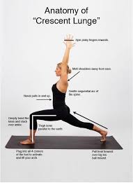 Anatomy Of Crescent Lunge Come To Clarkston Hot Yoga In Clarkston Mi For All Of Your Yoga And Fitness Needs Feel Free Teaching Yoga Yoga Asanas Yoga Help