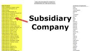 A partial list of subsidiary companies is provided below. Subsidiary Company Examples Levels How Does It Work