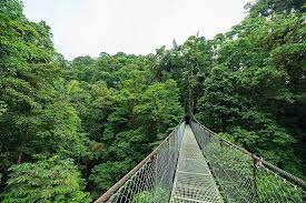 This quaint monteverde hotel is just 1 km from the monteverde wildlife cloud forest refuge. Monteverde Cloud Forest 5 Days Kimkim