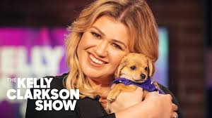 506,257 likes · 95,906 talking about this. Puppies Keep Interrupting Anna Faris Interview With Kelly Youtube