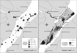 C'est l'heure de vos premiers pas sur le forum plus belle la vie. Le Concept D Approche Ecosystemique Applique A L Estuaire Maritime Du Saint Laurent Canada