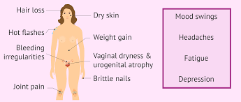 Image result for Menopause