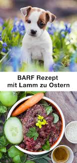 Barf Rezept Fur Deinen Hund Zu Ostern In 2020 Barf Rezepte Lamm Rezepte Hunde