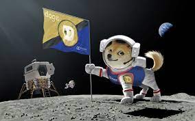Leading Sports Brand Wooter Apparel Begins Accepting Dogecoin In 2021 Doge Space Dog Doge Meme