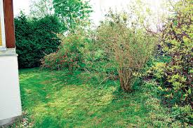 Für den vorgarten, die haustür oder jeden anderen ort wo licht gebraucht wird. Gestaltungsideen Fur Einen Kleinen Garten Japan Und Landhausstil Mein Schoner Garten
