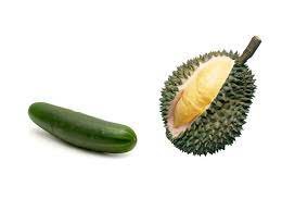 Perempuan rakam budak sekolah main. Durian Dan Mentimun Menggolek Kena Kena Golek Pun Kena Malaygaga