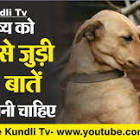 पंजाब केसरी (कटूपहास) (प्रेस विज्ञप्ति) (ब्लॉग) की insan ke jeevan se Judi adbhut baate के लिए कहानी की इमेज