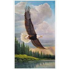 Dulunya burung ini dianggap sebagai burung cantik tetapi tidak berkaki. Lukisan Burung Elang 60 X 100 Cm Shopee Indonesia