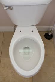 Image result for Toilet Cleaning