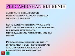 Deoperkulasi benih dan media perkecambahan. Ppt Pengaruh Suhu Hujan Dan Angin Ke Atas Tumbuhan Powerpoint Presentation Id 3800159